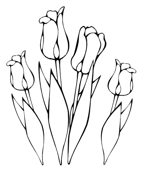 desenhos de flores